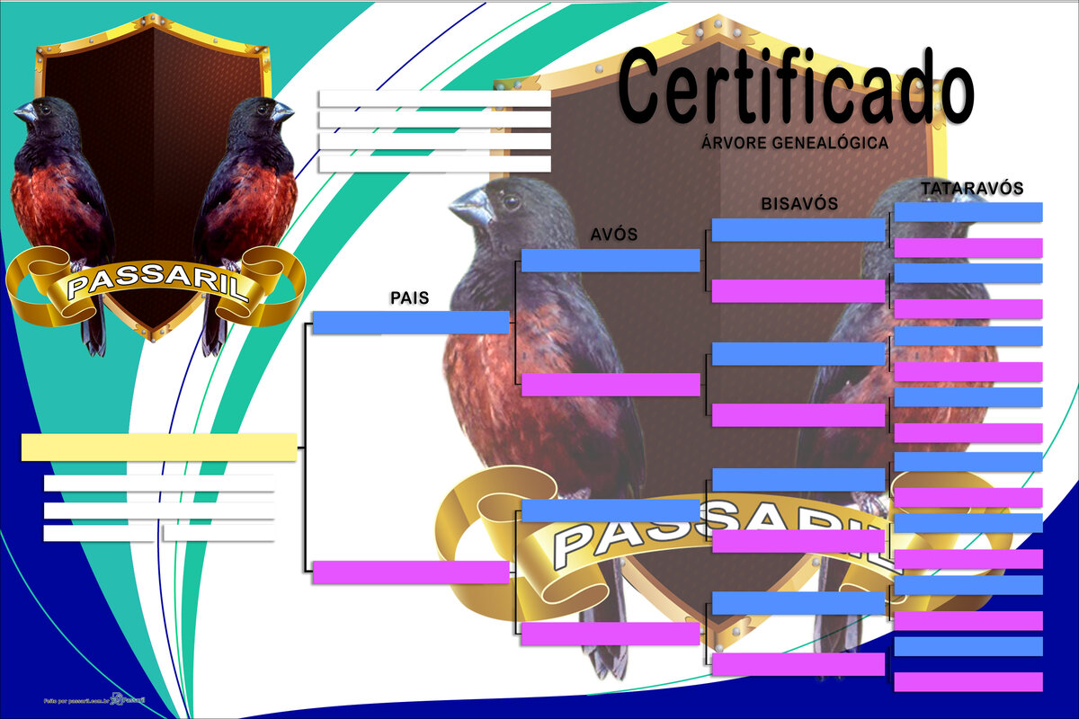 Exemplo de certificado gerado pelo Passaril