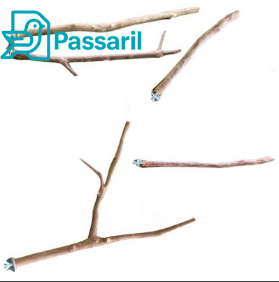 Poleiros Naturais Finos