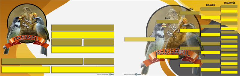 Exemplo de placa gerada pelo Passaril