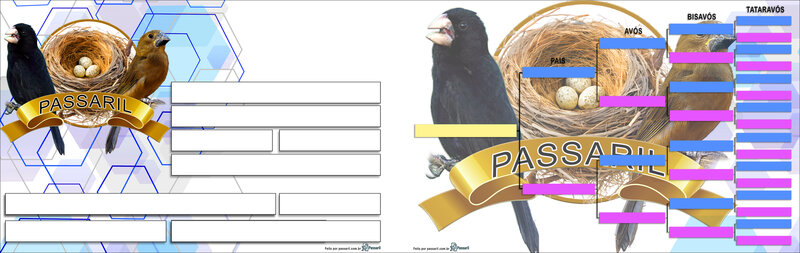 Exemplo de placa gerada pelo Passaril